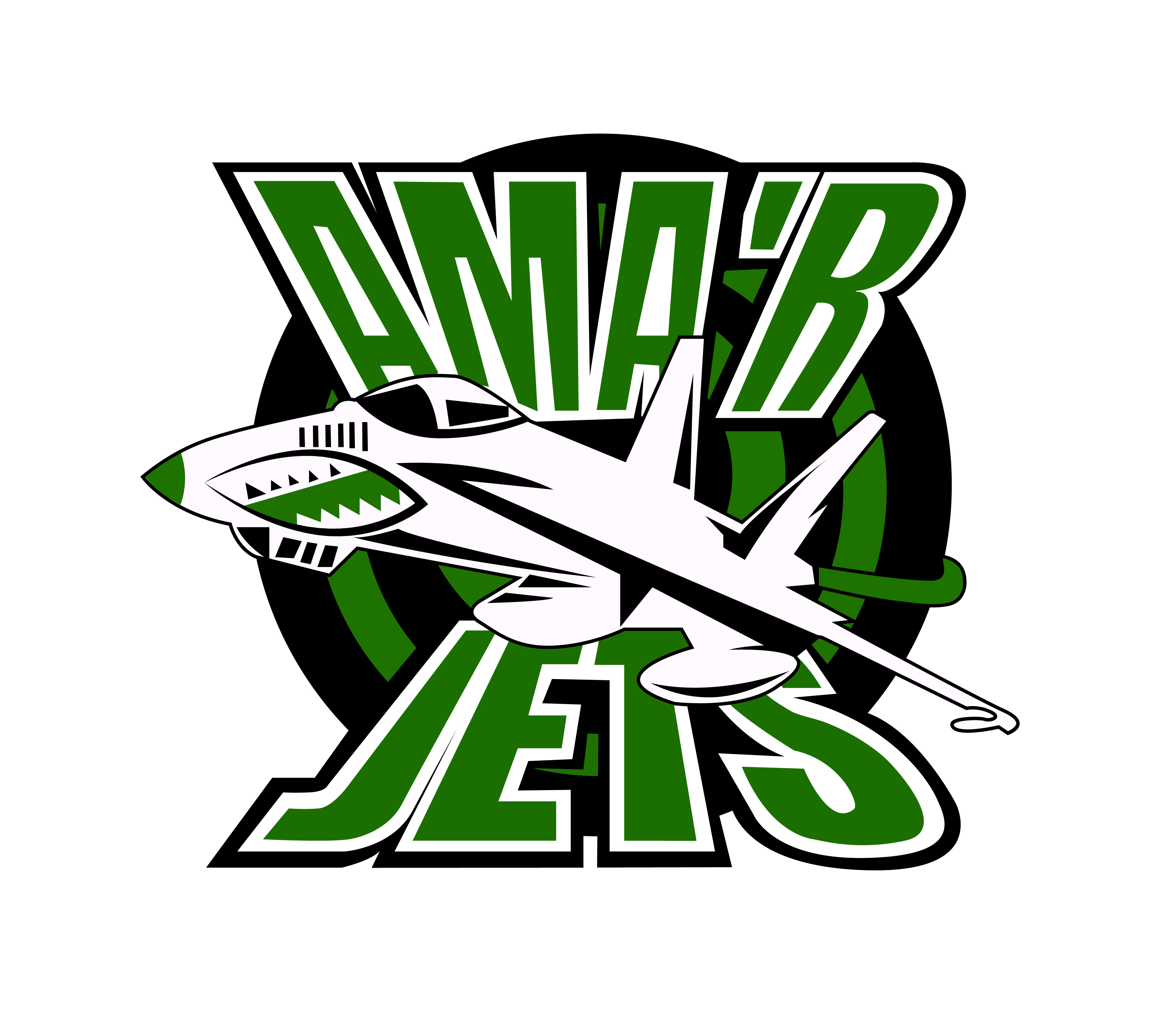 Amar%20jets%20logo_ny-02