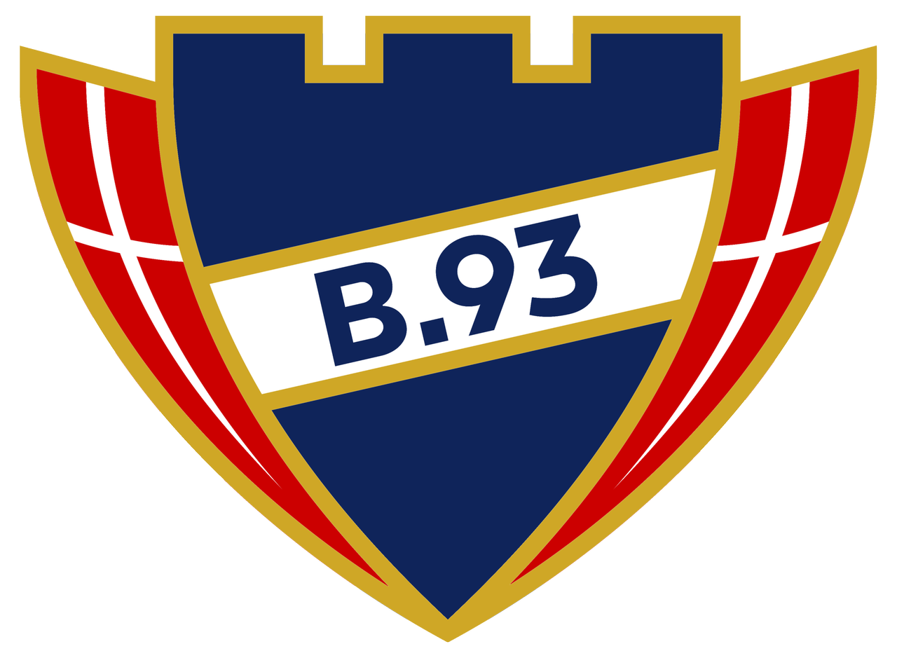 B93_web