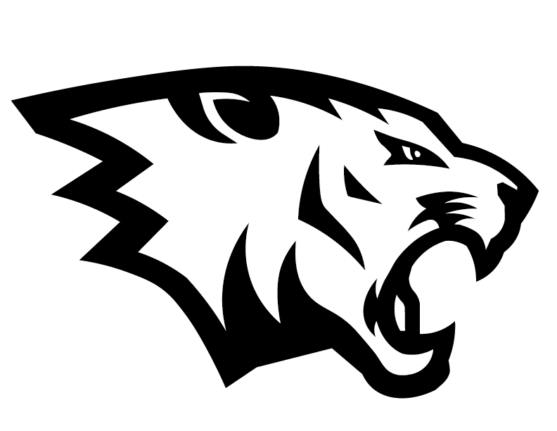 Tigers%20logo1.1