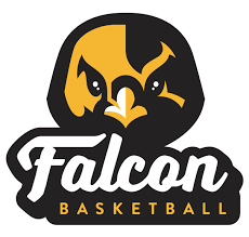 Falcon%20logo