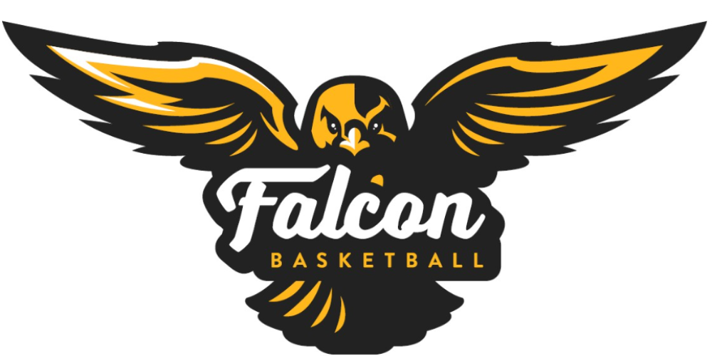 Falcon-basketball-1751281024___media_library_original_1000_500